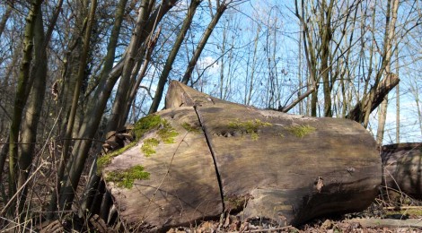 Wanderung zum Jammertal
